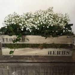 Wedding table arrangements